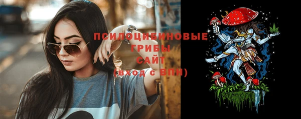 ECSTASY Каменск-Шахтинский