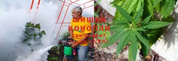 мяу мяу мука Инсар