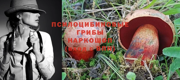 кокс Инта