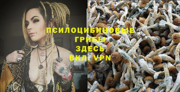 мяу мяу мука Инсар