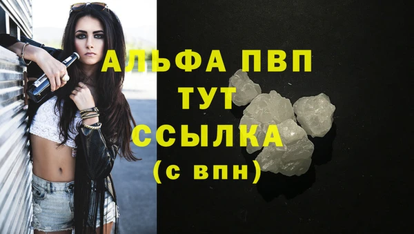 кокс Инта