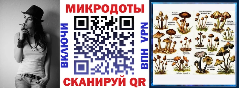 Галлюциногенные грибы Magic Shrooms  наркотики  Краснослободск 