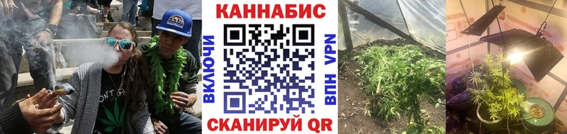 где продают   Краснослободск  Каннабис VHQ 